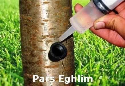 تزریق کود به تنه درخت | کار آمدترین روش تغذیه درختان - 1