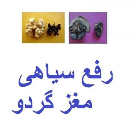 مبارزه با کرم خراط گردو | دفع کامل کرم خراط و رفع سیاه شدن مغز گردو - 1