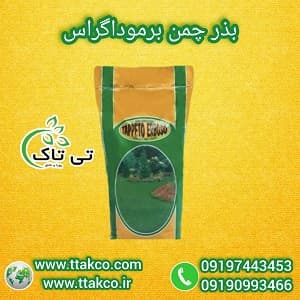 قیمت بذر چمن کوتاه - 1